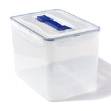 Classic Rectangular Container W/Handle