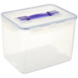 Classic Rectangular Container W/Handle