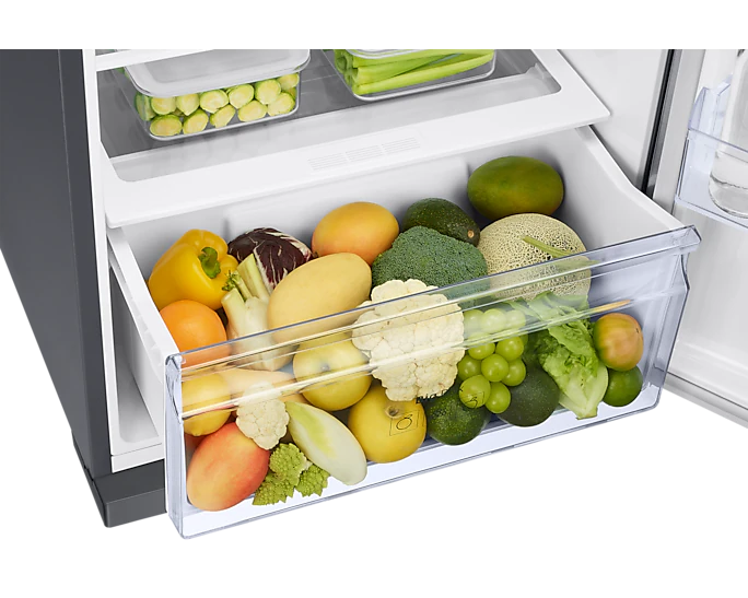 Samsung RT38 Top-Mount Freezer Refrigerator