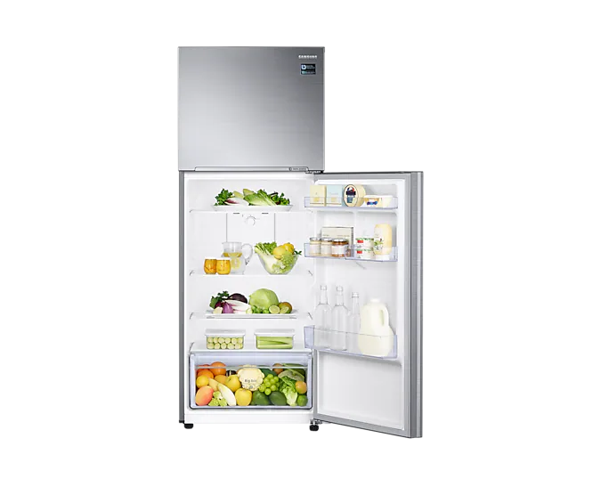 Samsung RT38 Top-Mount Freezer Refrigerator