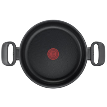 Tefal Tempo Flamme Stewpot